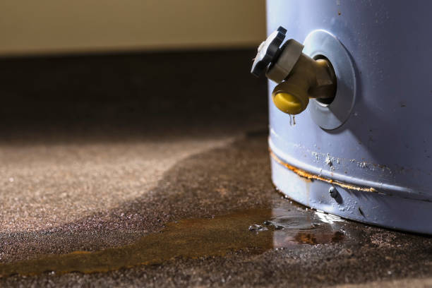 Best Emergency water damage restoration  in South Lyon, MI