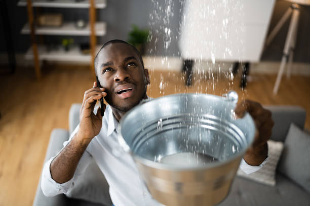  South Lyon, MI Water damage restoration Pros
