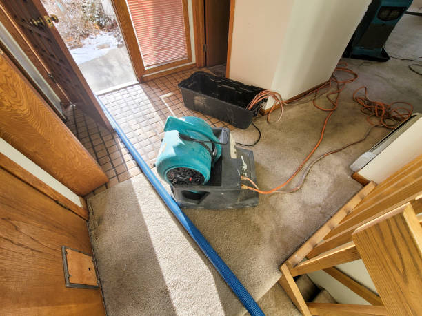 Best Water damage restoration services  in South Lyon, MI