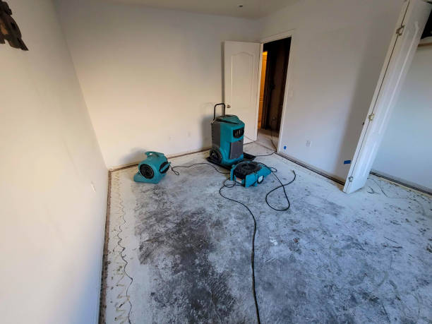 Best Water damage contractors near me  in South Lyon, MI