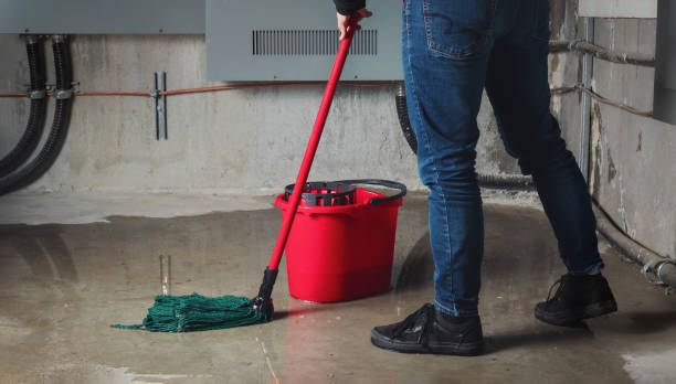 Best Carpet water damage restoration  in South Lyon, MI