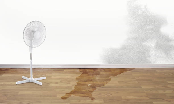 Best Sewage cleanup and water damage restoration  in South Lyon, MI