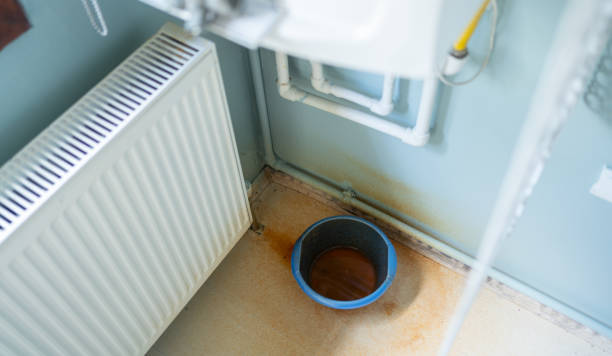 Best Professional water damage repair  in South Lyon, MI