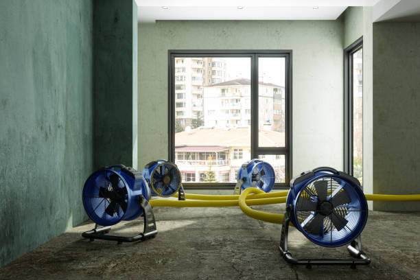 Best Mold removal after water damage  in South Lyon, MI