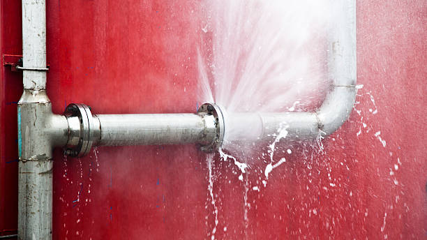 Best Flood damage cleanup  in South Lyon, MI